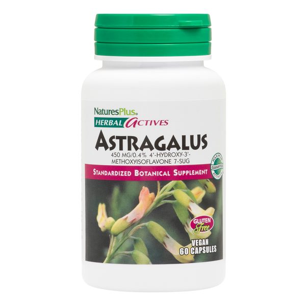 Natures Plus Herbal Actives Astragalus 60's Vegetarian Capsules